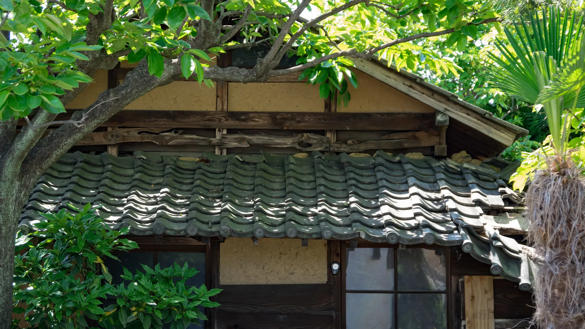 仙寿庵